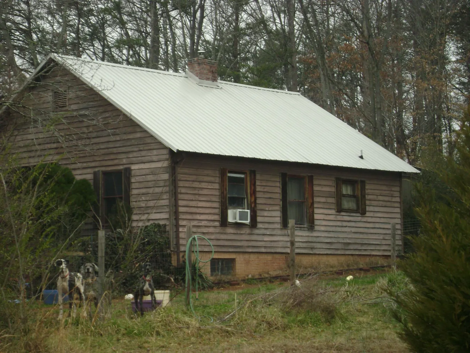 White metal roof on an old wood sided farmhouse, from a Asphalt Shingle Roof Repair job in Oregon